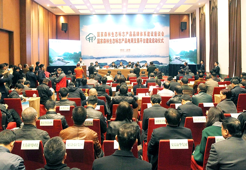2015112417364818_cybqpdv6.jpg